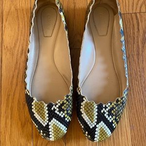 Chloe Lauren Scalloped Snake-print Ballet Flats 37